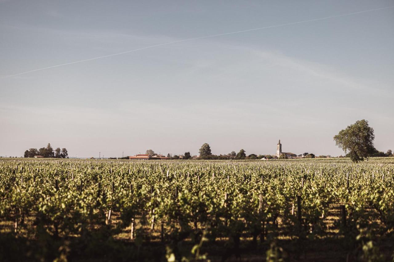 Chateau Laffitte Carcasset Saint-Estèphe Eksteriør billede